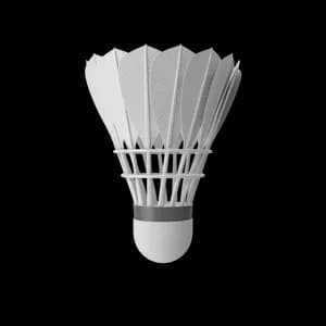 Feather Shuttlecock